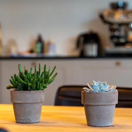 Penthouse With Panoramic Private Terrace