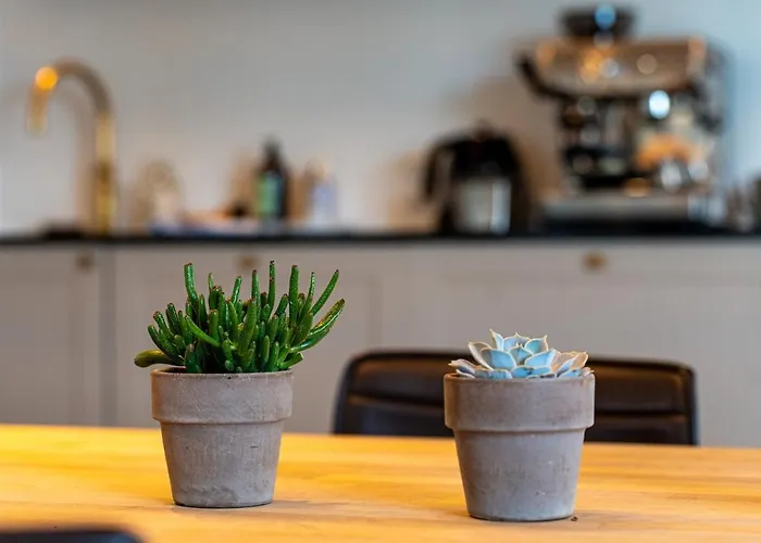 Penthouse With Panoramic Private Terrace